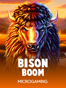 Bison Boom